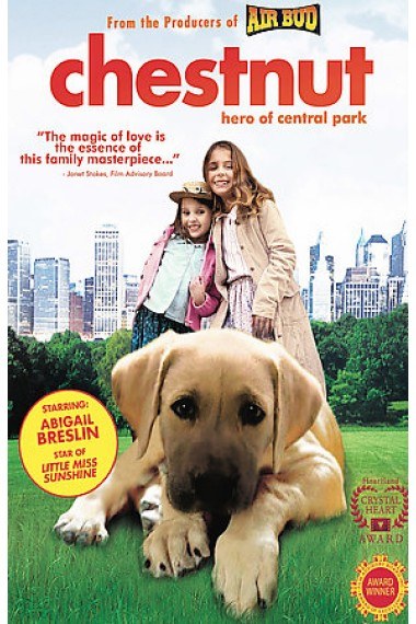 夏日之恋影视海报