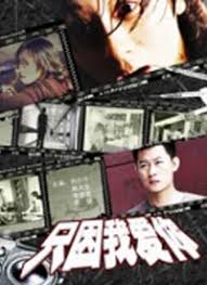 4tube在线中国影视海报