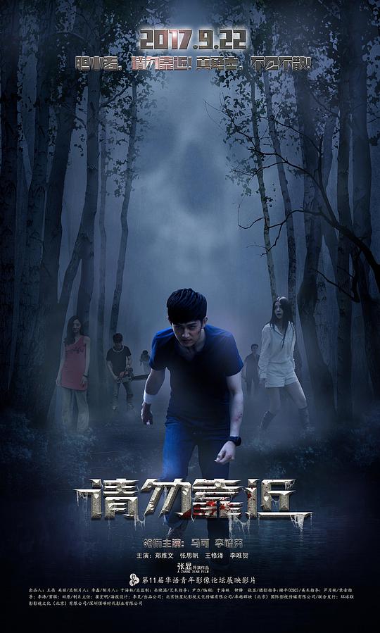 薰衣草电视剧免费完整影视海报