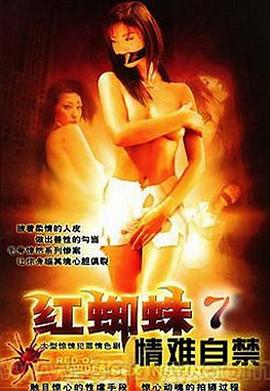 漂亮人妻被强了完整版影视海报