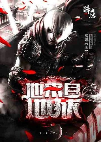 无敌少爷影视海报