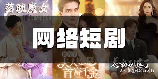 天涯织女结局影视海报