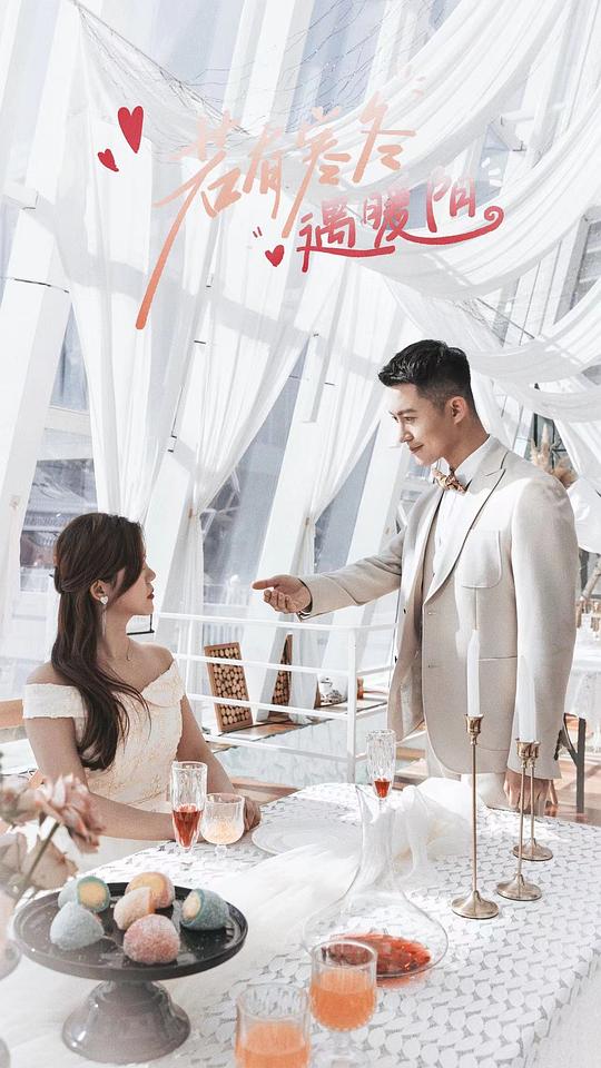 无翼之鸟全集漫画全彩影视海报