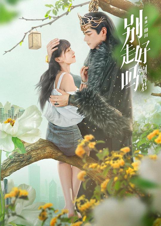 襙比视频影视海报