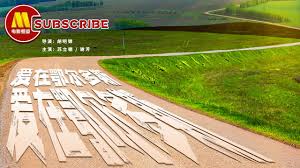 美国3d幼儿zoo影视海报