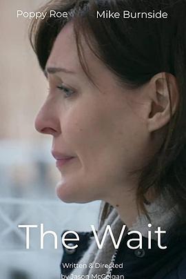 电视剧香火影视海报