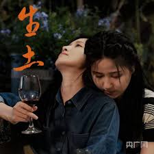 电视剧甄嬛传在线观看影视海报