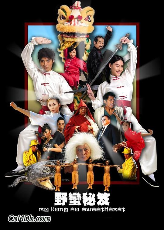 天宠医妃 季家嫡女影视海报