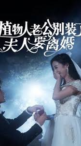 宦海纵横影视海报