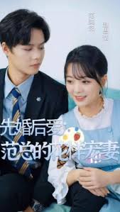 vivo手机电信4g接入点影视海报