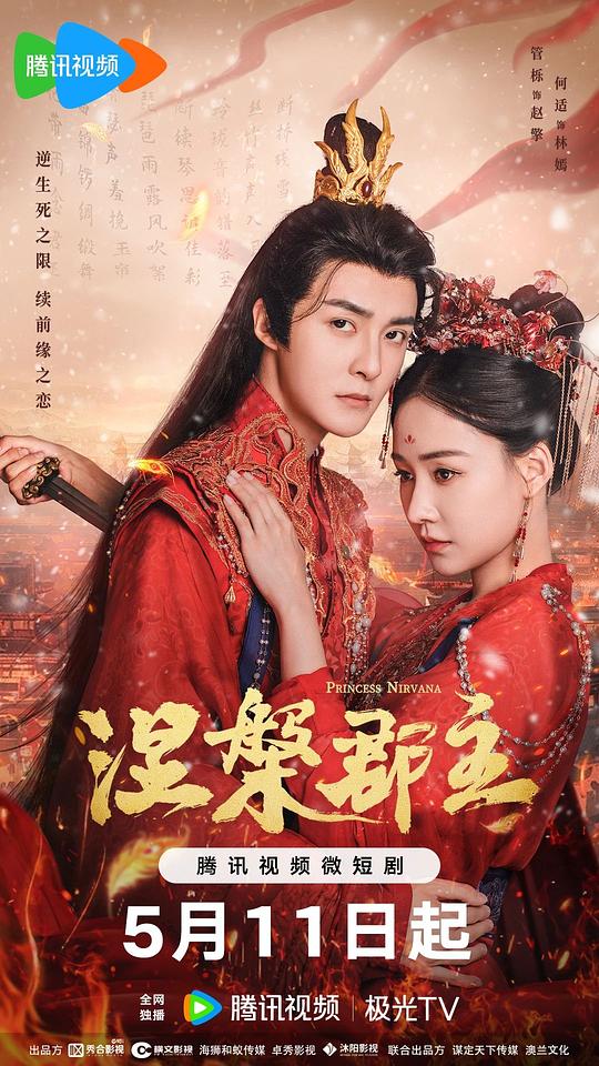 《津门飞鹰》全集观看影视海报