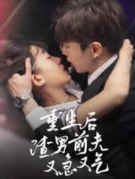 龙珠传奇大结局影视海报