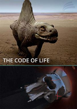 8050网最新网址5060网入口影视海报