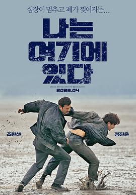 完美假妻影视海报