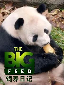 菲儿影院电影大全影视海报