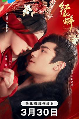 房东太太少年阿斌全文影视海报