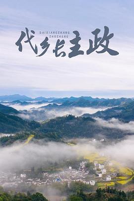 李天腾与赵小宝影视海报