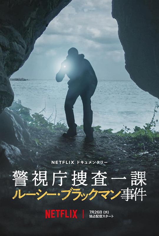 欲霸天下影视海报