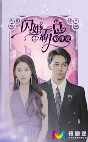 经营婚姻 电视剧影视海报