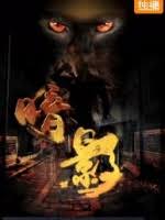 英雄无侠影视海报