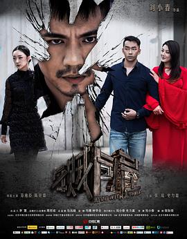 生死迷局 电视剧影视海报