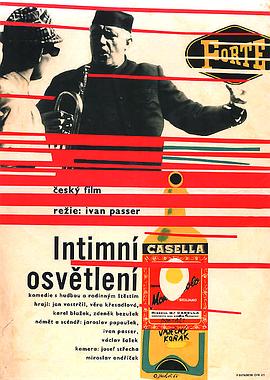 中篇小说选刊影视海报