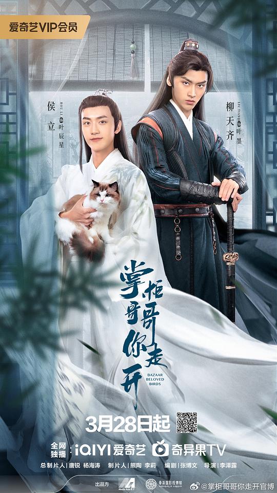 风华正茂影视海报