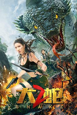 高激passionhd日本com影视海报