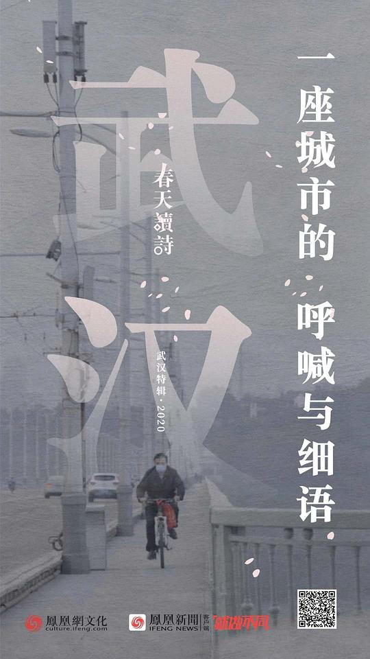 御龙修仙传免费看影视海报