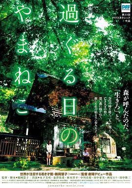 《金刚》电影完整版影视海报