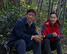 神秘驼队影视海报