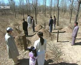 反贪局长影视海报