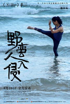 阳光下的法庭电视剧全集影视海报