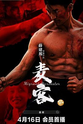 神探狄仁杰第四部全集在线观看影视海报