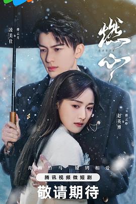 黑道少林影视海报