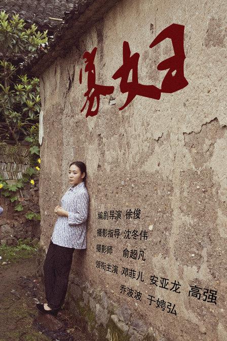 飞卢vip破解版是真的吗影视海报