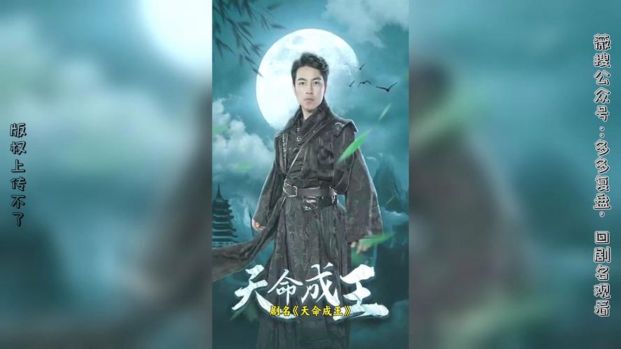 电视剧金婚全集在线观看影视海报