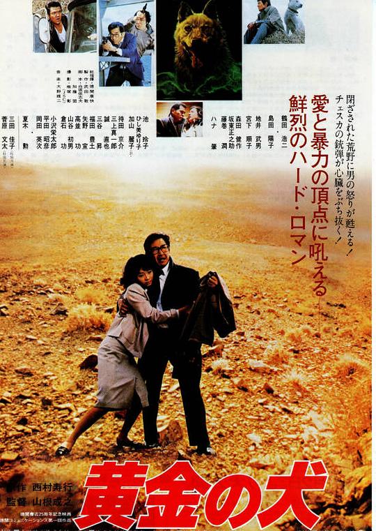 做完就用玉棒塞住下面影视海报