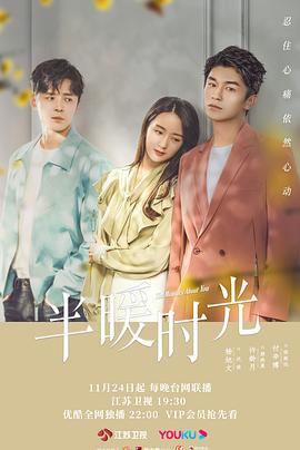 韩小希秦先生酒店影视海报