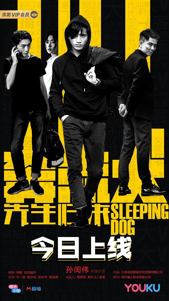 斗破苍穹之萧炎干雅妃影视海报