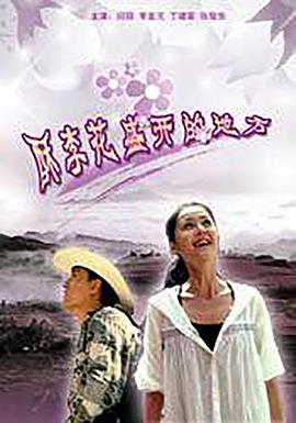 花样中国影视海报