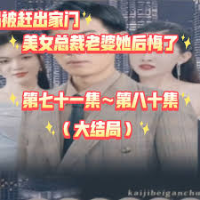 望子成龙小说影视海报