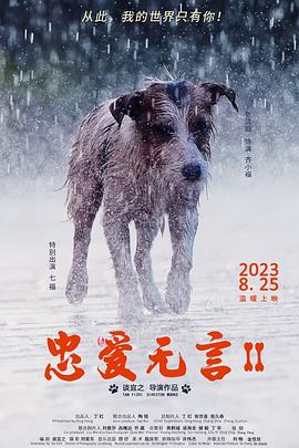 妖姬与艳妓完整版电影影视海报