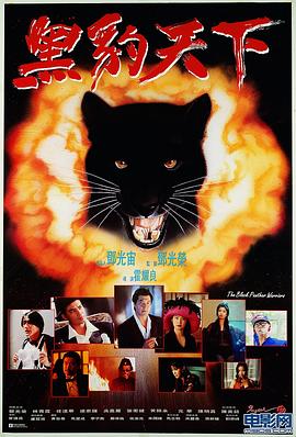 1997农民伯伯乡下妹影视海报