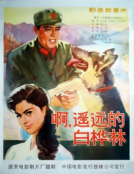 顶楼的大象完整版56网影视海报