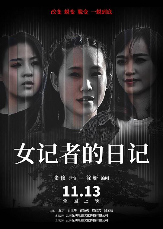 奎迪2百度云影视海报