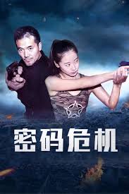 弃城z 108完整版影视海报