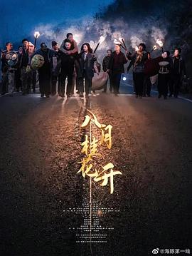 不善之举影视海报