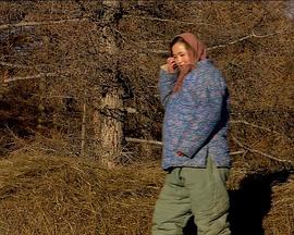 调音师剧情解析影视海报