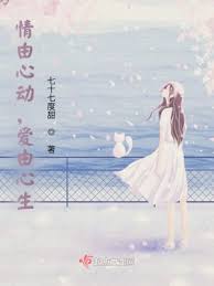 电视剧溏心风暴免费观看影视海报